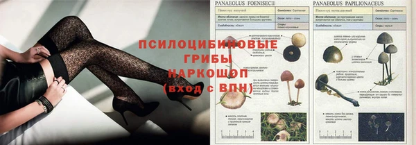 a pvp Богданович